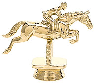 Equestrian Jumping