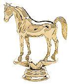 Arabian Horse