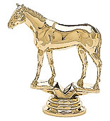 Thoroughbred