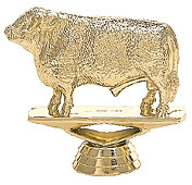 Hereford Bull