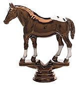 Appaloosa