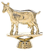 Dairy Goat