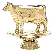 Dairy Cow