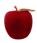 Teacher's Apple